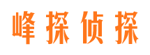 禹王台外遇调查取证